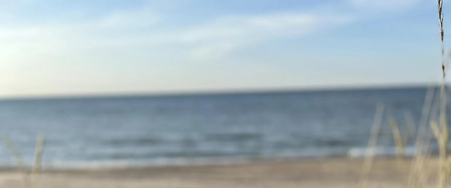 Vesterhavet ud for Thorupstrand set gennem marehalmen i klitten.